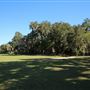 Middleton Place - Greensward