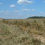 Darby Farms - Pastures