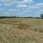 Darby Farms - Pastures