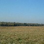 Darby Farms - Pastures