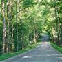 Callahan Mountain Road
