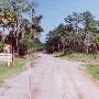 Keasly Plantation