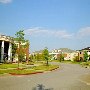 University of SC - Greek Village
