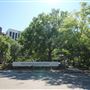 MUSC - The Horseshoe