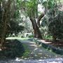 Charles Towne Landing - Wedding Field