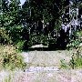 Brookland Plantation Rd