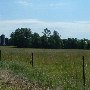 Wherry Road Silos