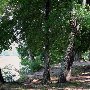 Landsford Canal State Park