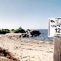 Sullivan's Island - Station 12 (Beach with Open Field)