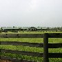 Barrington Polo Club