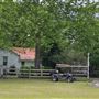 Muckenfuss Stables
