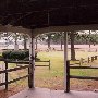 Springdale Horse Race Track (Steeplechase) - Stable E-3
