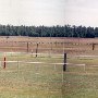 Springdale Horse Race Track (Steeplechase) - Stable E-3