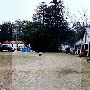 Stables near Springdale