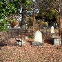 Magnolia Street Cemetery