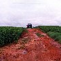 Sykes Farm