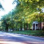 Boulevard Avenue