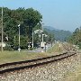 Highway 176 Railroad Tracks