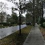 New Point Subdivision