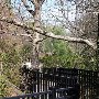 Caesars Head State Park