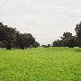 Kings Grant Country Club