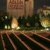 Adluh Flour