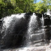 Falls Creek Falls