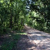 Swamp Rabbit Trail-Lower Travelers Rest