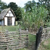Charles Towne Landing - Pallisades & Crop Garden Area