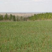 Old Motte - General