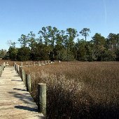 Palmetto Islands County Park - March