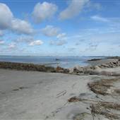 Sullivan's Island Harbor Beach - Station 11 @ Low Tide