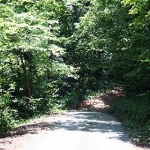 Pinnacle Lake Road