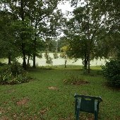Platt Swamp