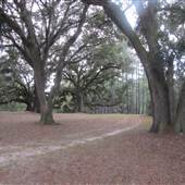 Friendfield Roads and Fields