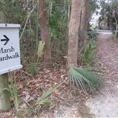 Palmetto Islands County Park - Boardwalk to Nature Island - MARCH