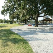 Mt. Pleasant Farmer's Market