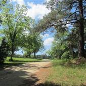 Boone Hall Plantation - Fields & Woods (March 2012)