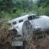 Stono River Stables - Plane Crash