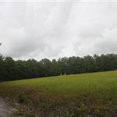 Stono River Stables - Back Forty