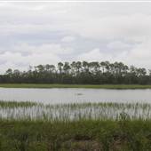 Kiawah River Plantation - Slippers