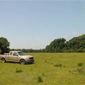 Legare Farms - Graveyard Field