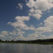 Cooper River - Childsbury to Pimlico