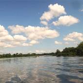 Cooper River - Mepkin Abbey to Lewisfield Plantation