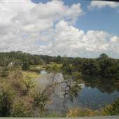 Laurel Hill Plantation / McClellanville - Pond