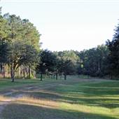 Longwood Plantation - Oaks, Pastures, Polo Fields