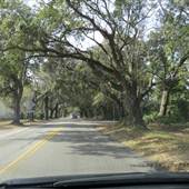 Camp Road @ Riverland Road