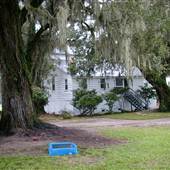 Berkely County Plantations