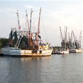 Shem Creek Water Views
