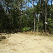 James Island County Park - Frisbee Golf